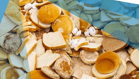 Consumers waste less if retailers sell fresh more less